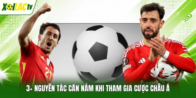 3+ nguyên tắc cần nắm khi tham gia cược Châu Á