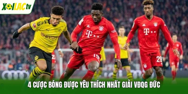 4 cược bóng được yêu thích nhất giải VĐQG Đức