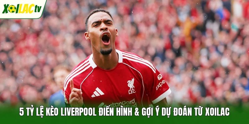 5 tỷ lệ kèo Liverpool điển hình & gợi ý dự đoán từ Xoilac