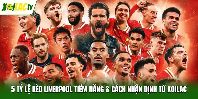 5 Tỷ Lệ Kèo Liverpool Tiềm Năng & Cách Nhận Định Từ Xoilac