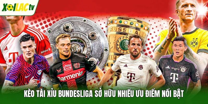 Kèo tài xỉu Bundesliga sở hữu nhiều ưu điểm nổi bật