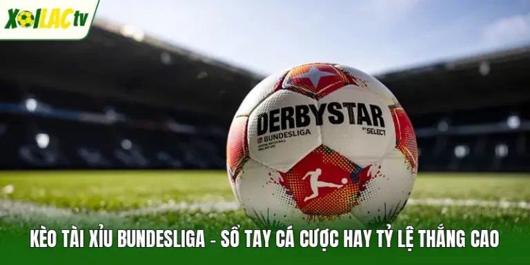 Kèo Tài Xỉu Bundesliga – Sổ Tay Cá Cược Hay Tỷ Lệ Thắng Cao