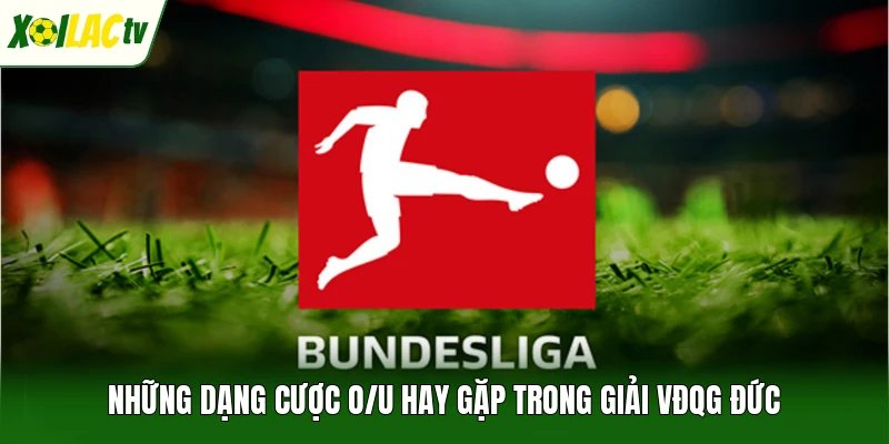 Những dạng cược O/U hay gặp trong giải VĐQG Đức