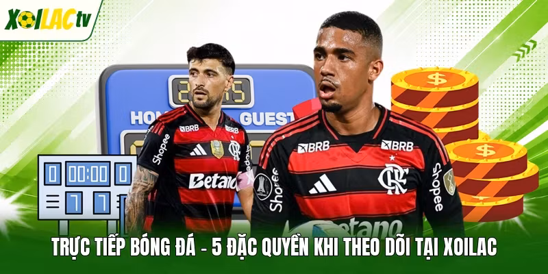 Trực Tiếp Bóng Đá – 5 Đặc Quyền Khi Theo Dõi Tại Xoilac