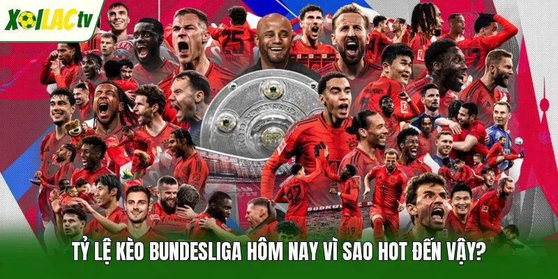 Tỷ lệ kèo Bundesliga hôm nay vì sao hot đến vậy?